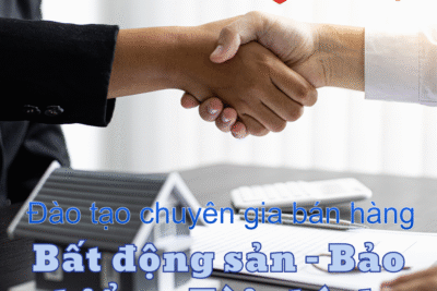 Đào tạo Chuyên gia bán hàng: Bất động sản – Bảo hiểm – Tài chính